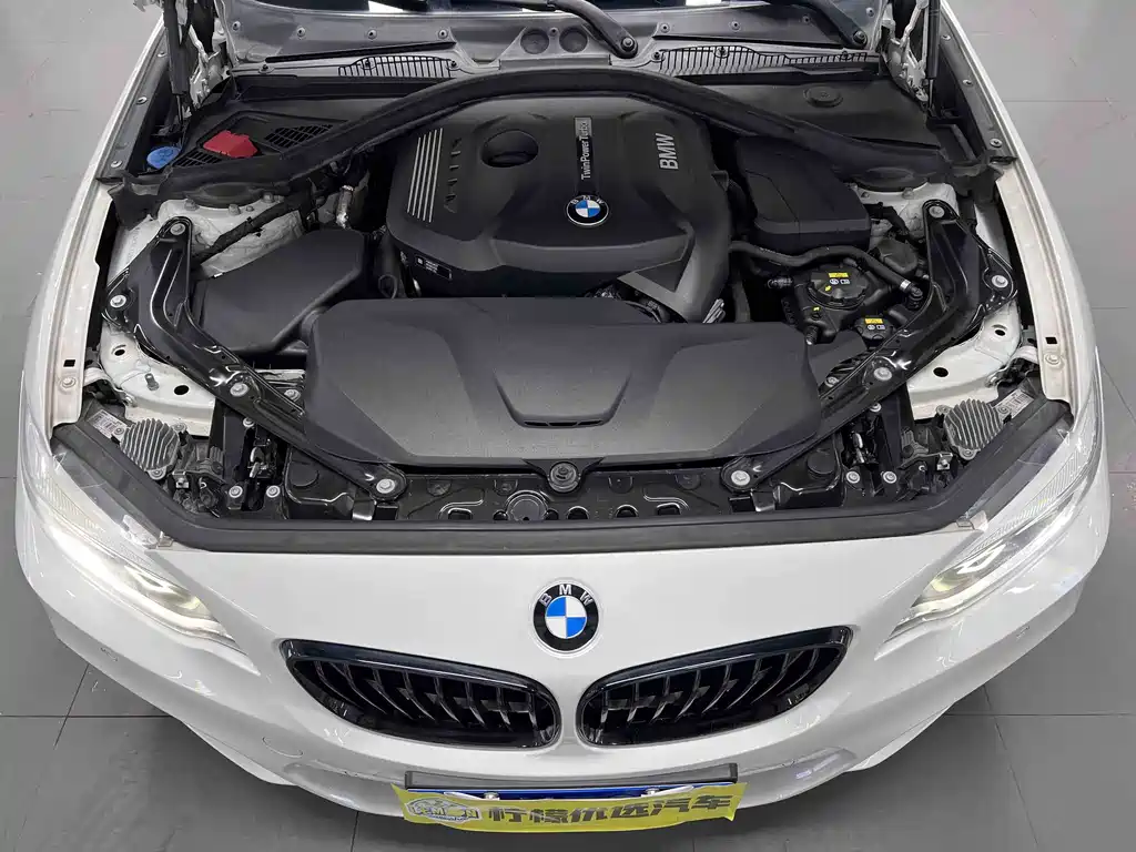 BMW 2 Series (Import) — миниатюра 10