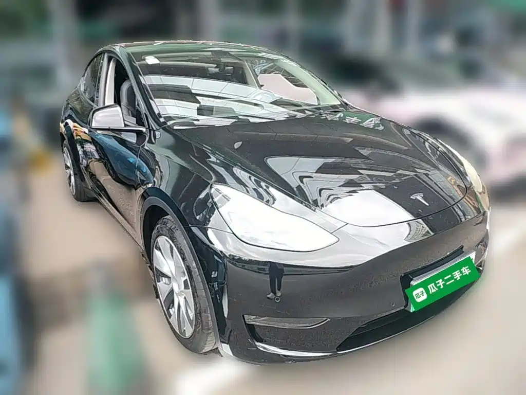 Tesla Model Y — миниатюра 6