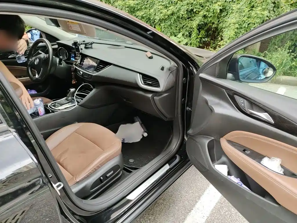 Buick Regal — миниатюра 18