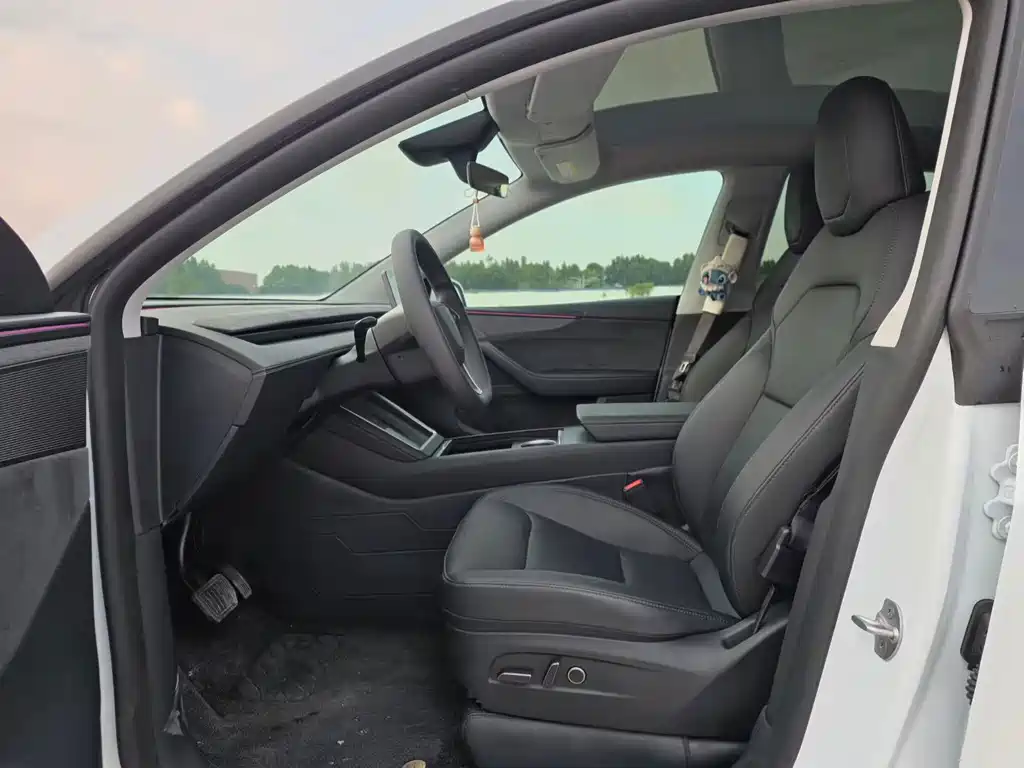 Tesla Model Y — миниатюра 4