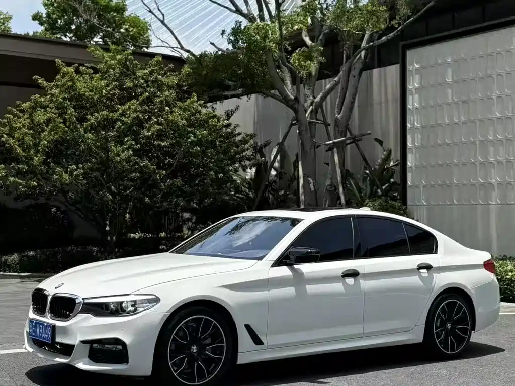 Купить BMW 5 Series (Import)