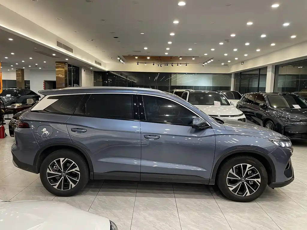 BYD SONGJIANG NEW ENERGY