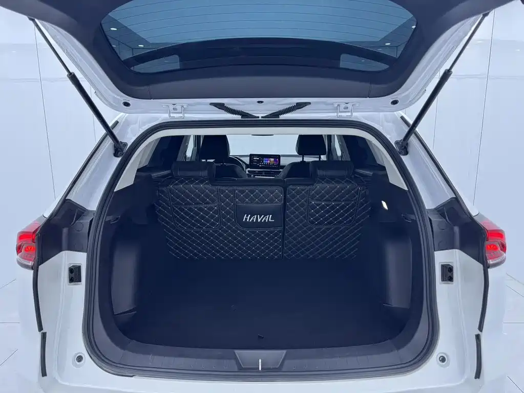 Haval H6 — миниатюра 14