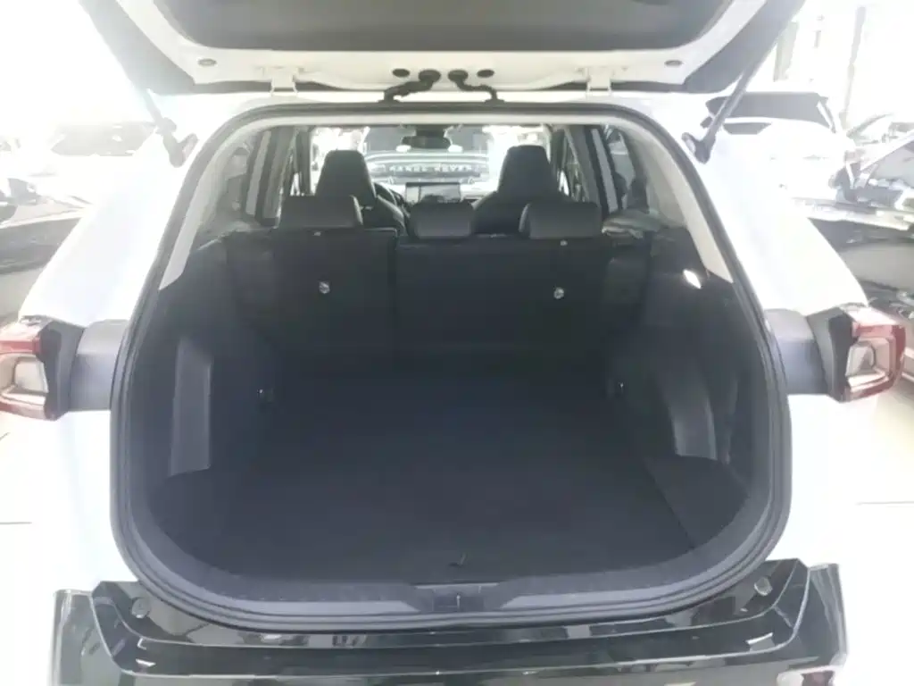 Toyota Wildlander — миниатюра 19