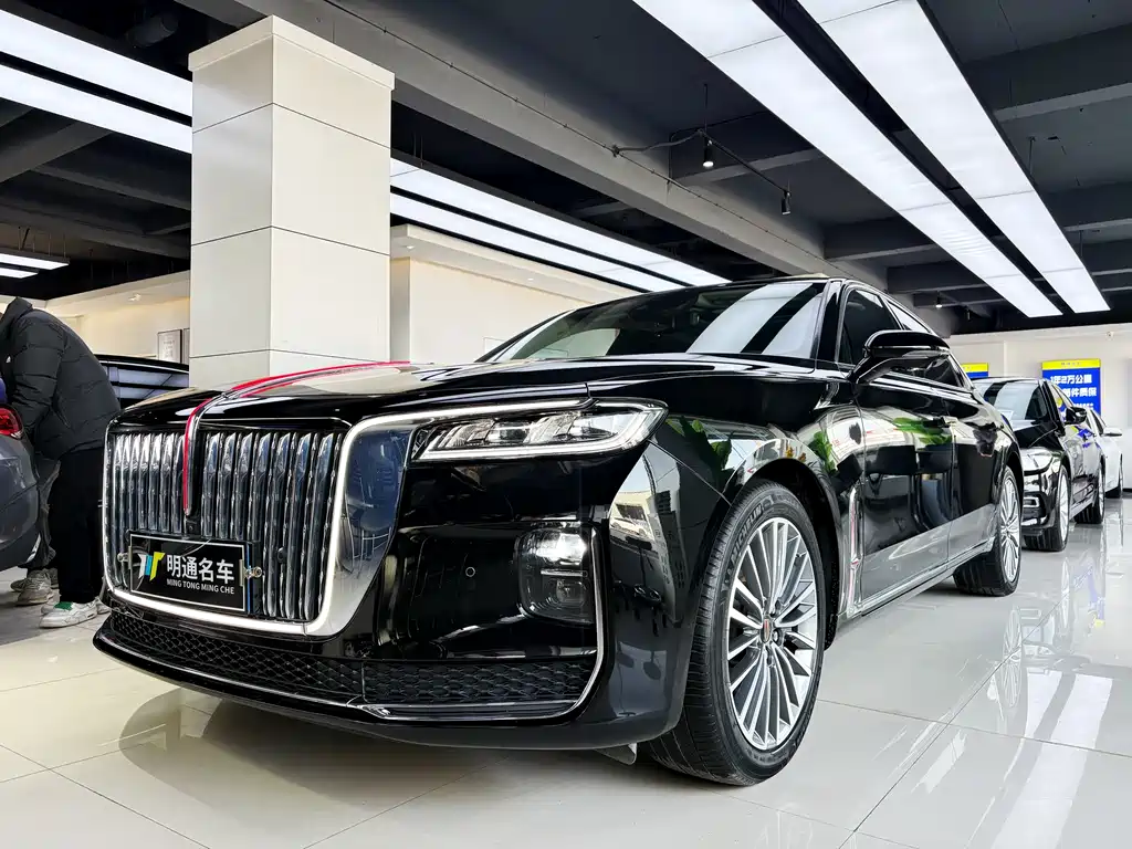 Hongqi Hongqi H9 2021