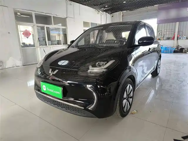 WULING AUTOMOBILE WULING BINGGUO 2023