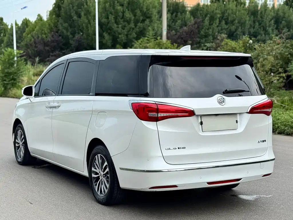 Buick GL8 — миниатюра 4