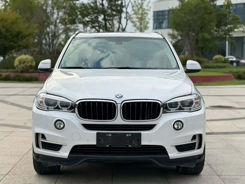 BMW X5 (Import) — миниатюра 2
