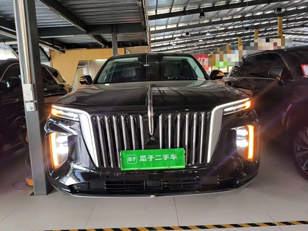 Hongqi Hongqi E-HS9 — миниатюра 3