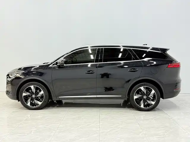 BYD Tang New Energy — миниатюра 2