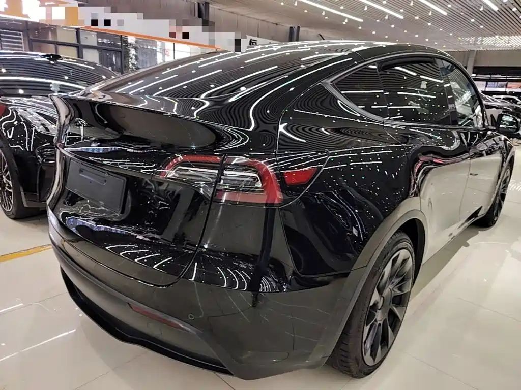 Tesla Model Y — миниатюра 7