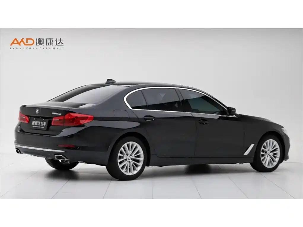 BMW 5 Series — миниатюра 3