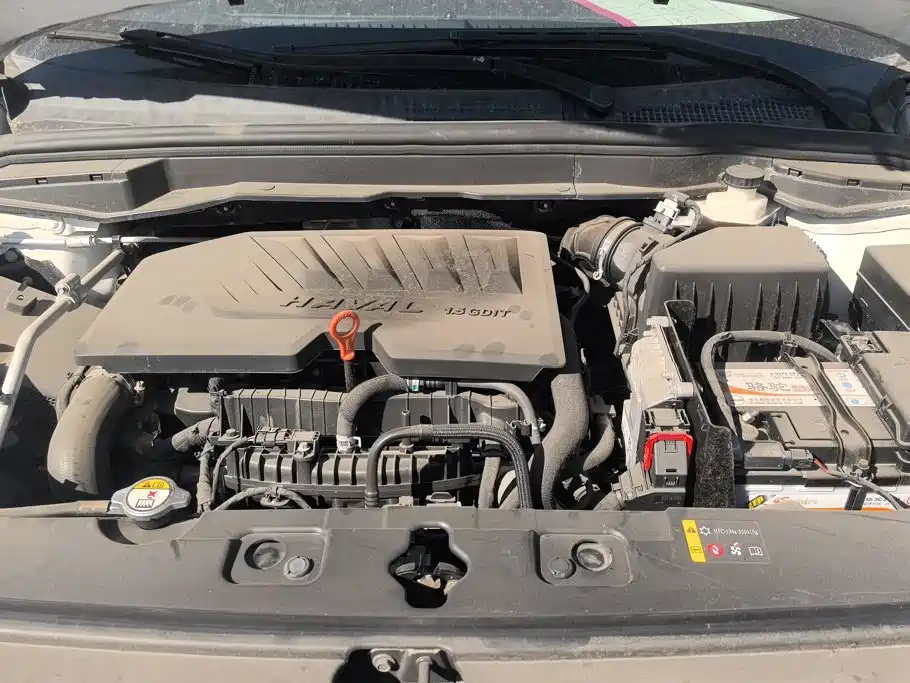 Haval H6 Coupe — миниатюра 10