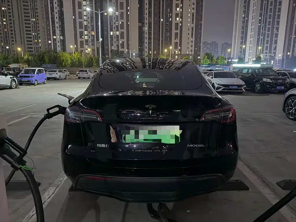 Tesla Model Y — миниатюра 9