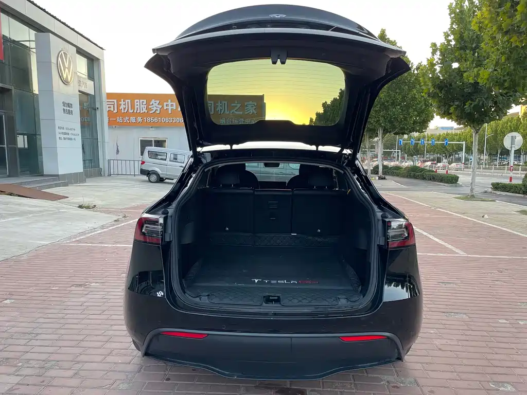 Tesla Model Y — миниатюра 15