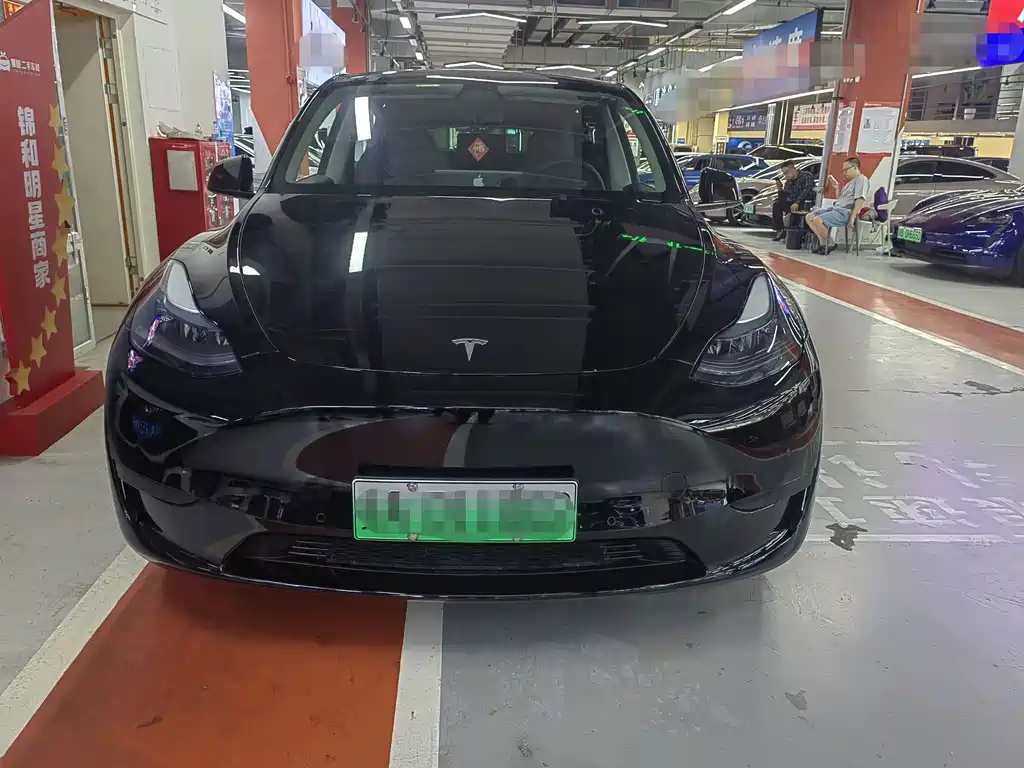Tesla Model Y — миниатюра 2