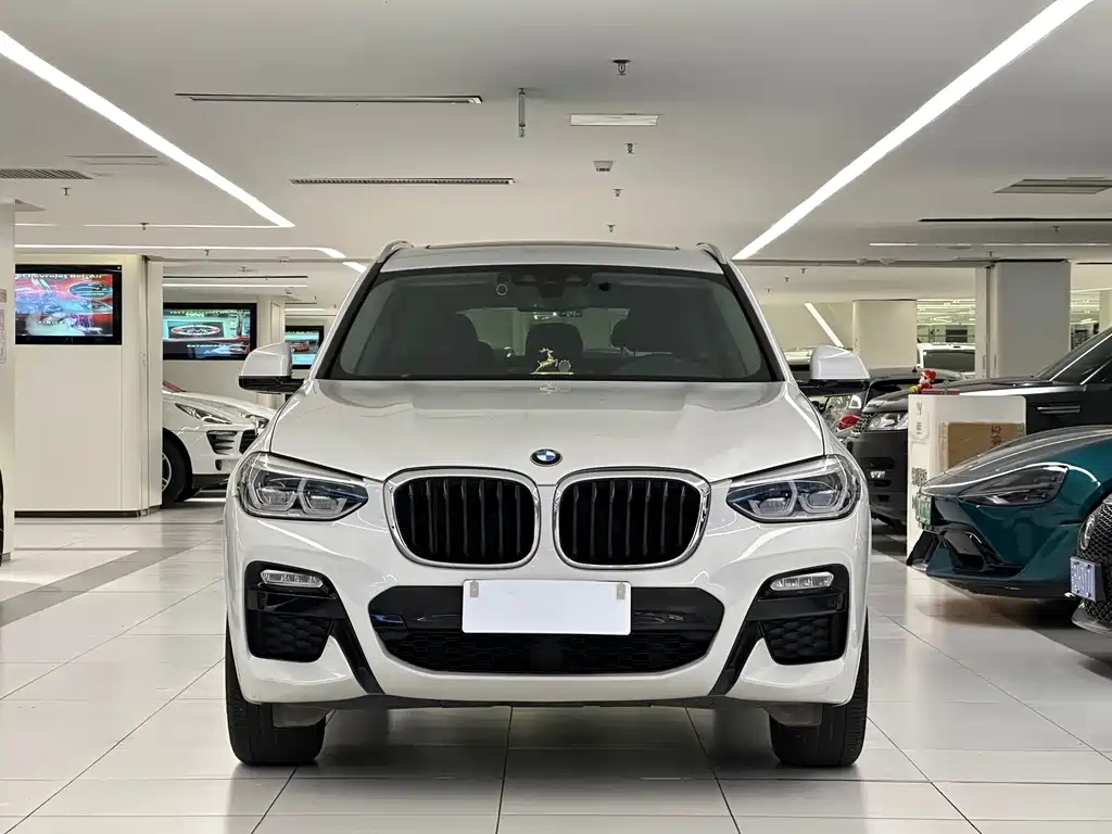 BMW X3 — миниатюра 2