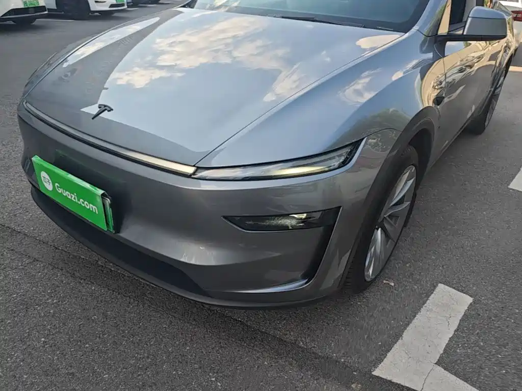 Tesla Model Y — миниатюра 24