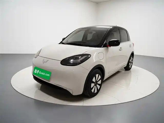 2024 Wuling Motors Binguo