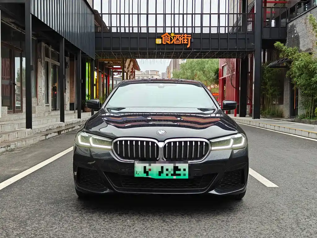 BMW 5 Series New Energy — миниатюра 3