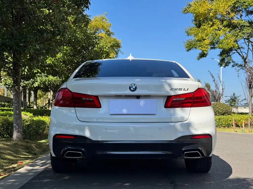 BMW 5 Series — миниатюра 6