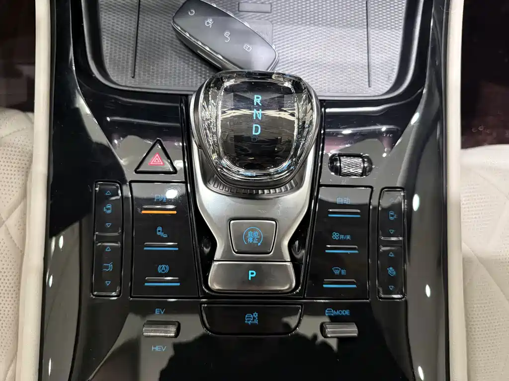 Denza Denza D9 — миниатюра 9