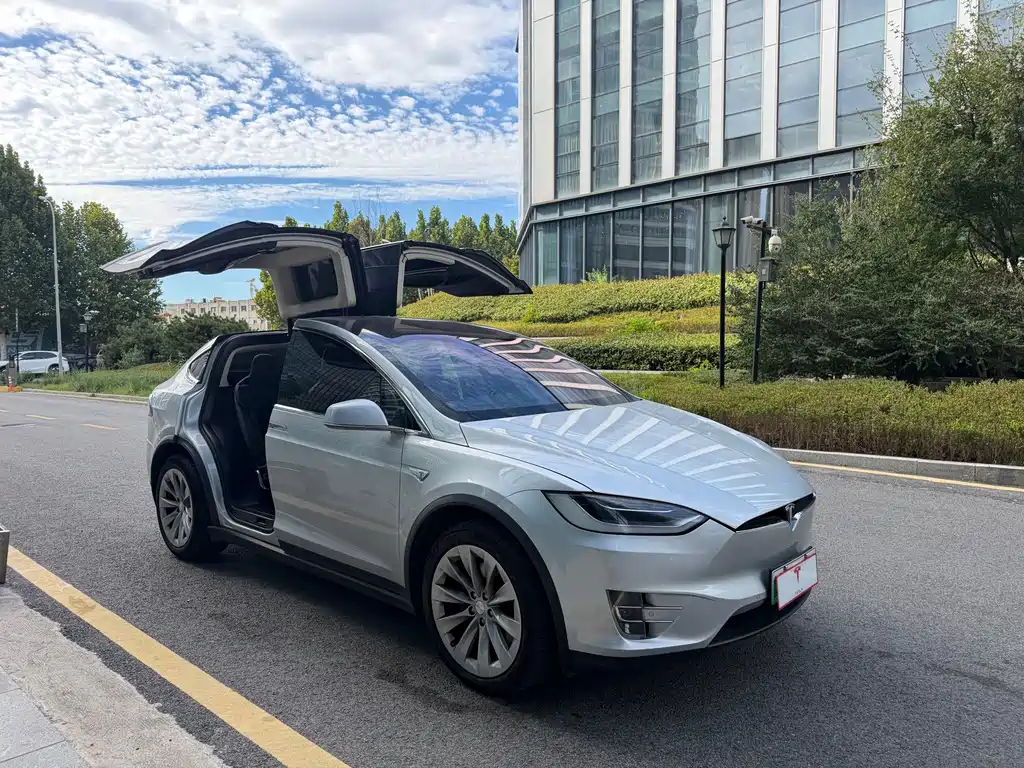 Tesla Model X — миниатюра 3