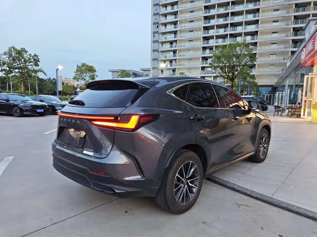 Lexus NX — миниатюра 5
