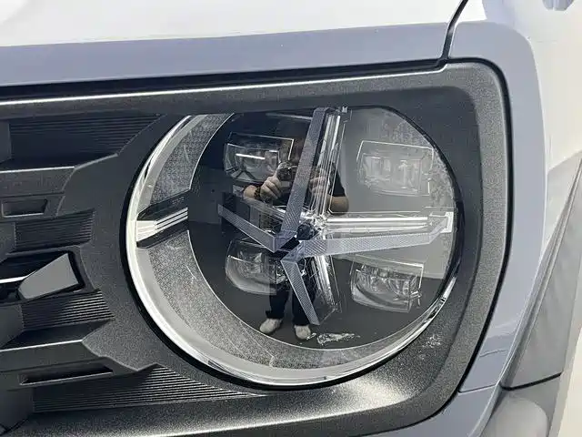 Haval Cool Dog — миниатюра 17