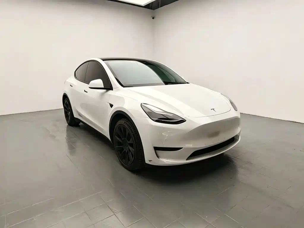 Tesla Model Y — миниатюра 3