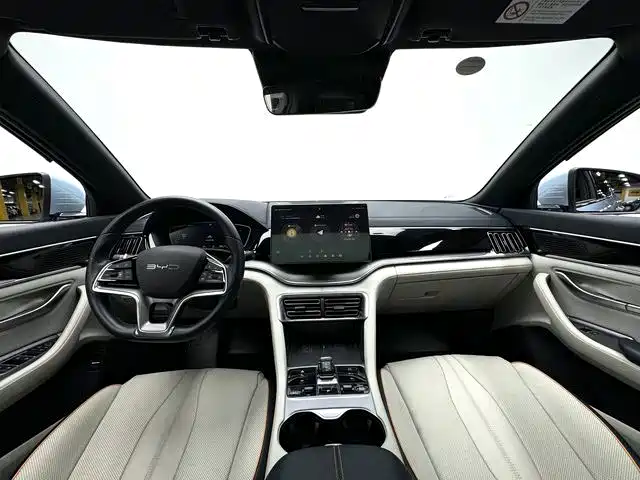 BYD PLUS New Energy — миниатюра 4