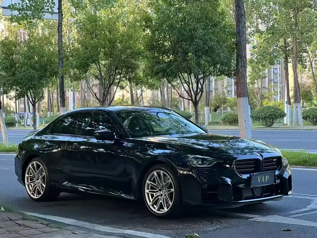BMW M2 — миниатюра 3