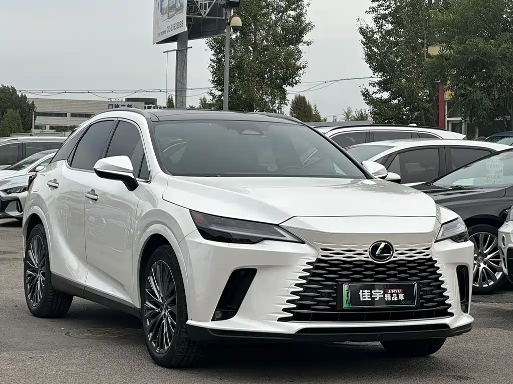 LEXUS RX NEW ENERGY