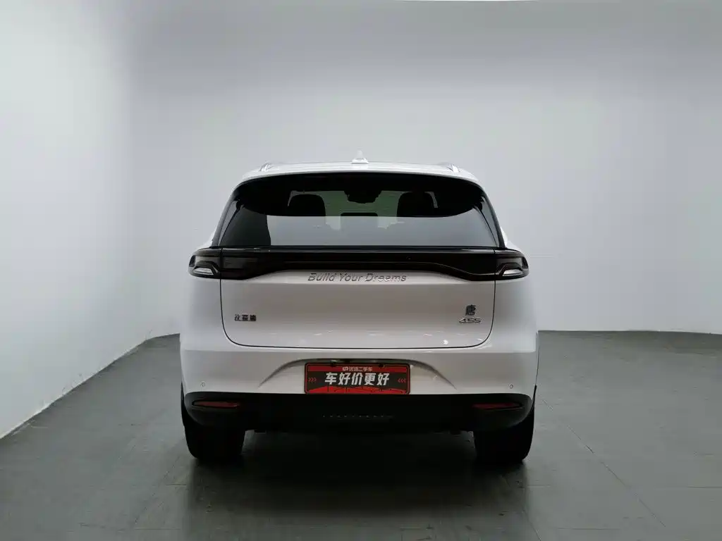 BYD Tang New Energy — миниатюра 4
