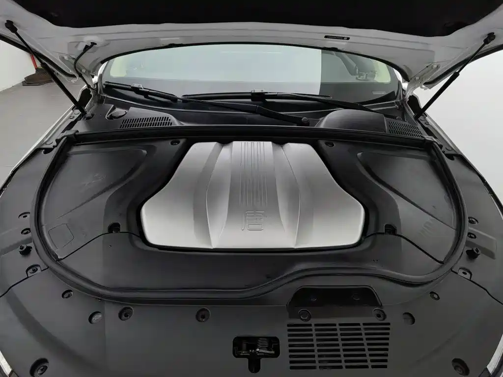 BYD Tang New Energy — миниатюра 6
