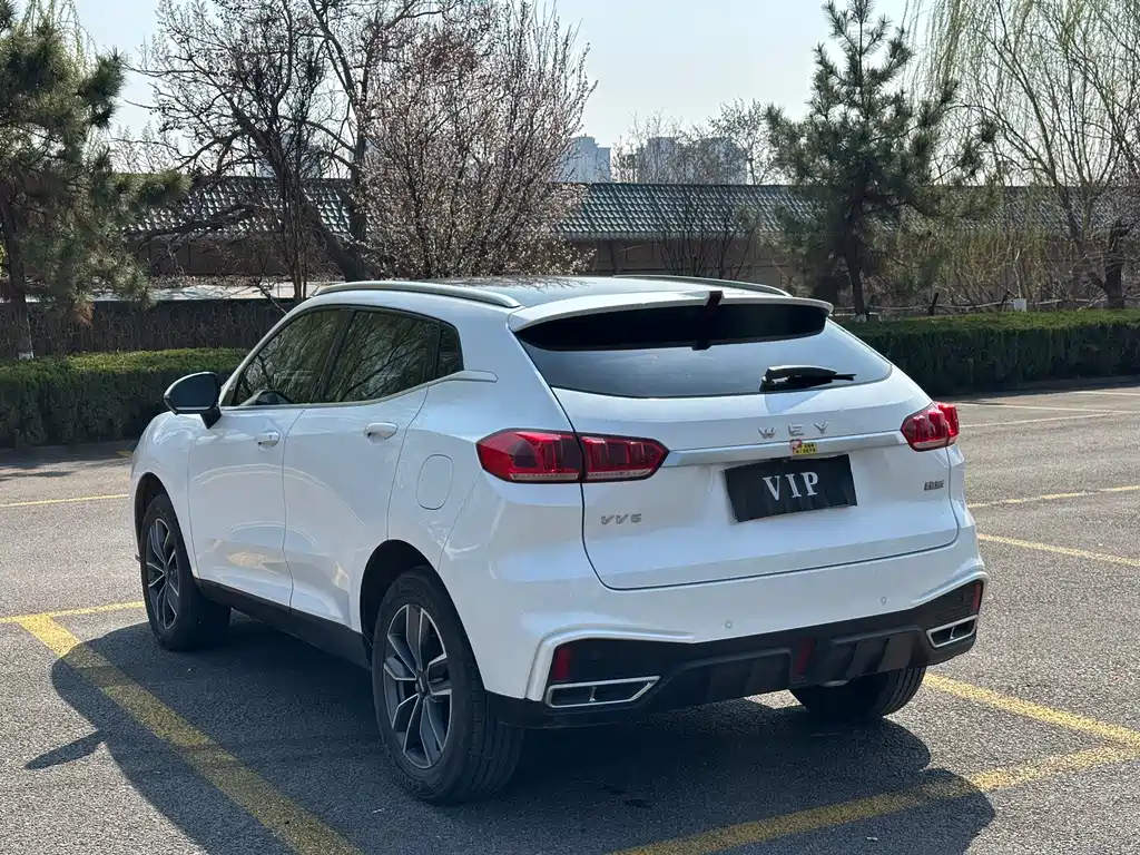 WEI PAI WEI BRAND VV5