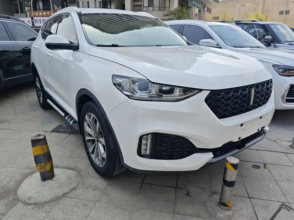 WEI PAI WEI BRAND VV6