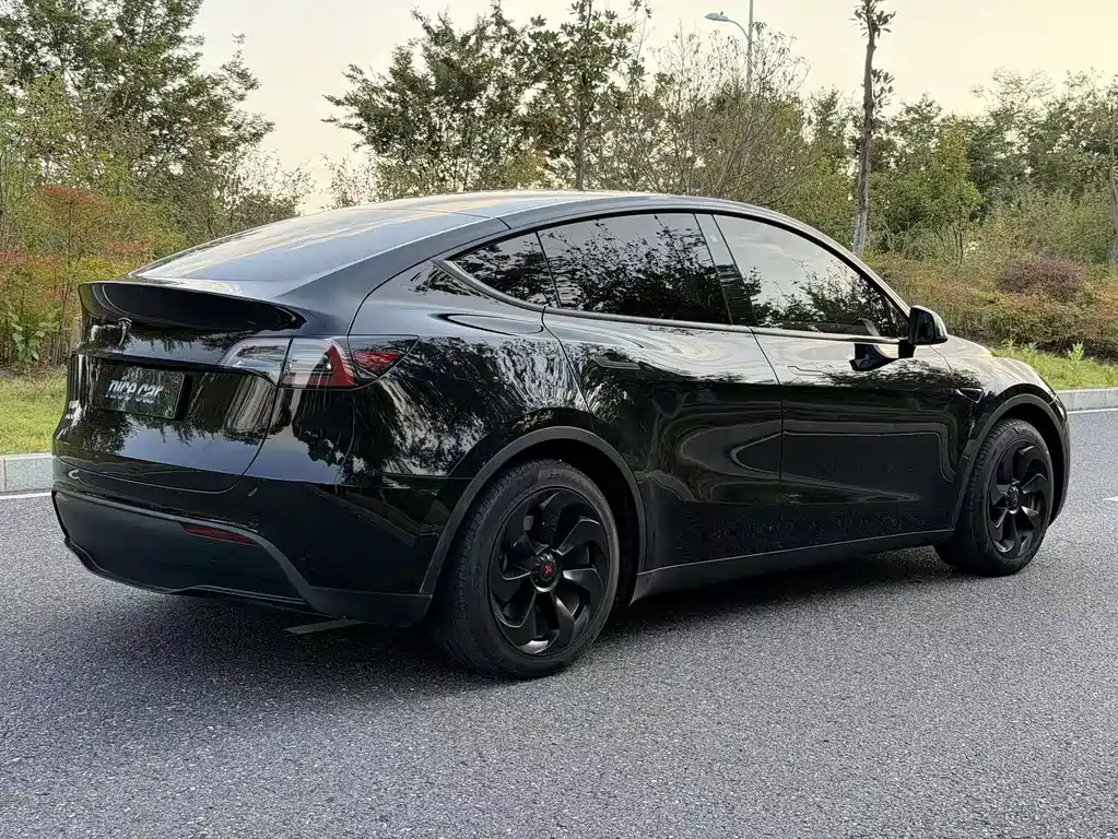 Tesla Model Y — миниатюра 4