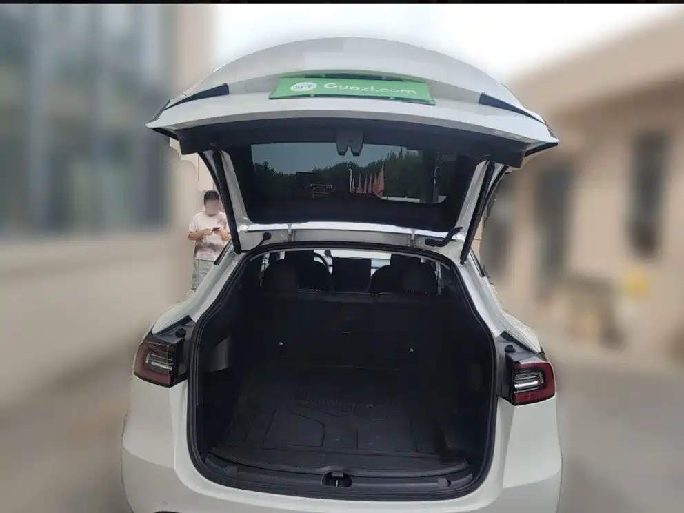 Tesla Model Y — миниатюра 14