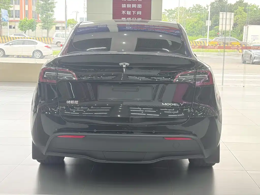 Tesla Model Y — миниатюра 8