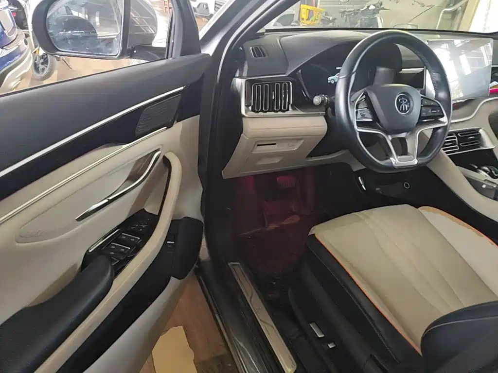 BYD PLUS New Energy — миниатюра 16