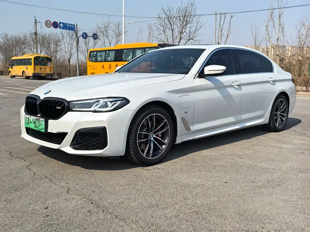 BMW 5 Series New Energy 2021