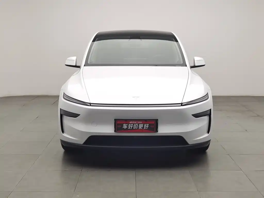 Tesla Model Y — миниатюра 3