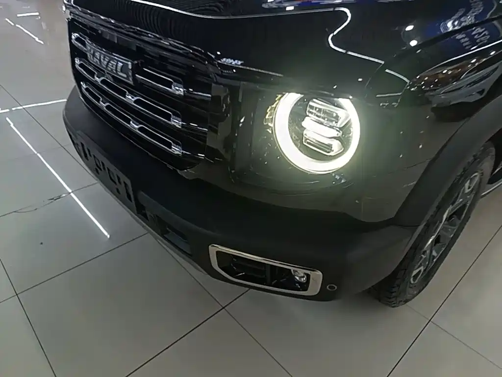 Haval Big Dog — миниатюра 24