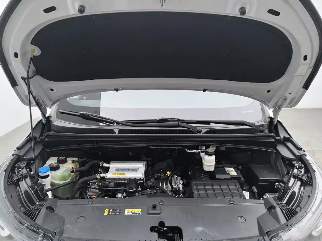 GAC Motor Trumpchi M6 — миниатюра 6
