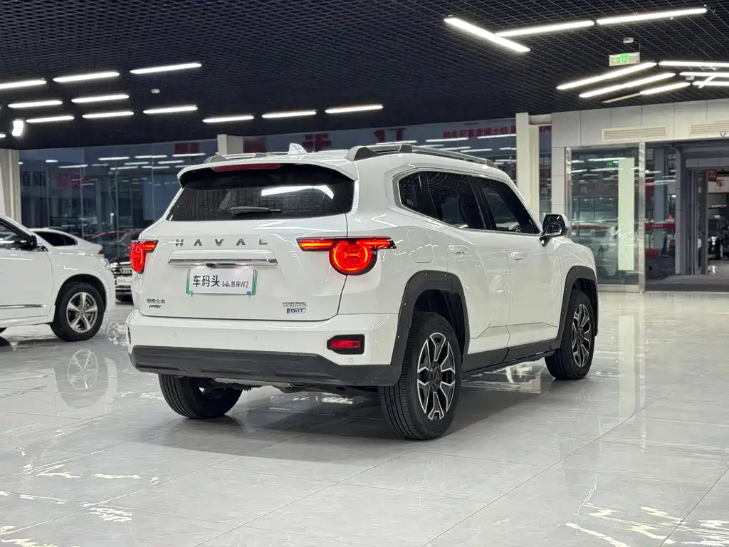 Haval Плюс новая энергия. — миниатюра 9