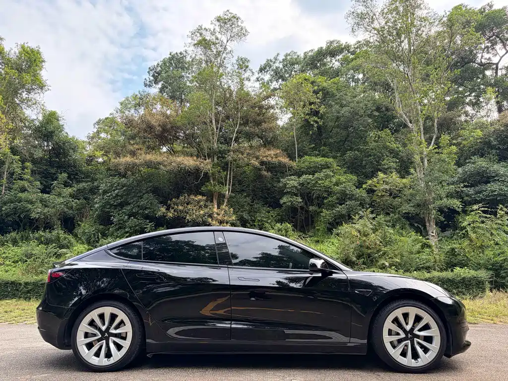 Tesla Model 3 — миниатюра 6