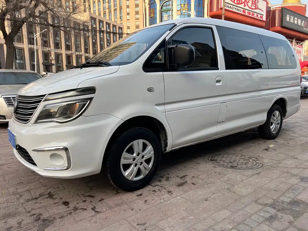 DONGFENG LINGZHI