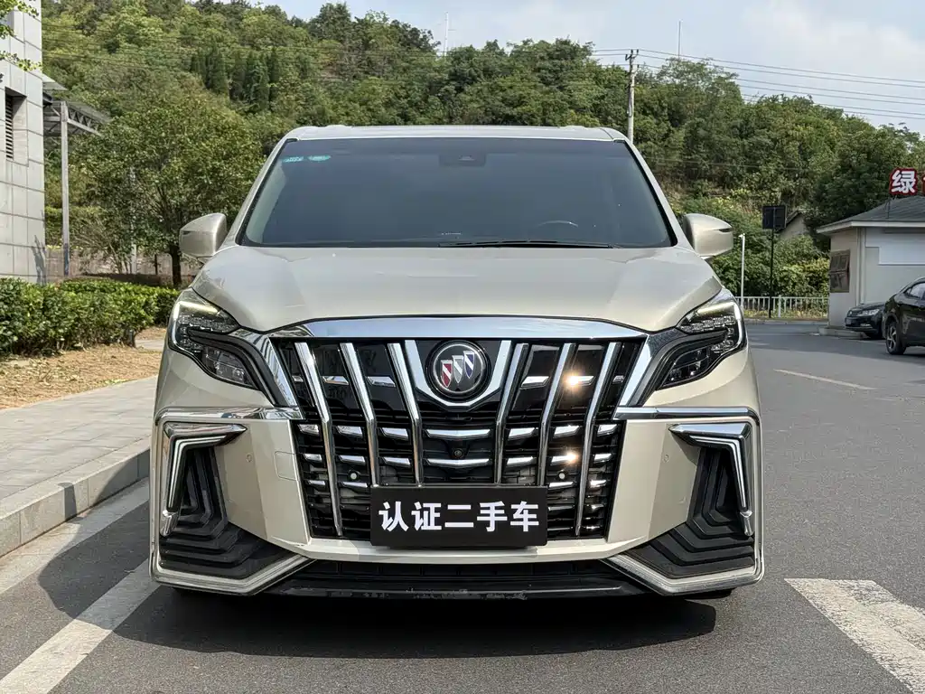 Buick GL8 — миниатюра 2