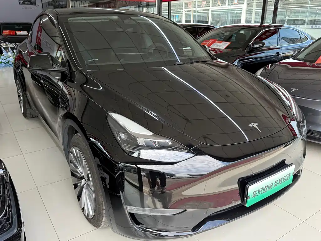 Tesla Model Y — миниатюра 3